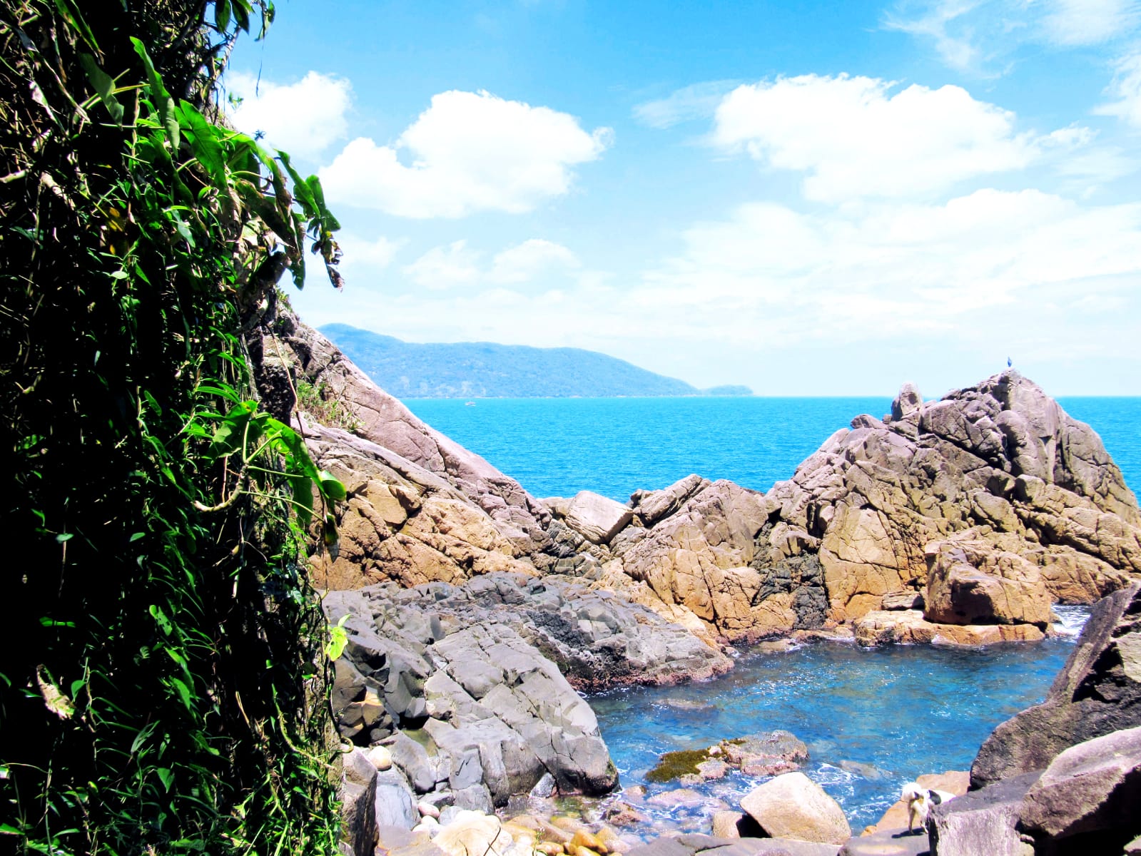 WhatsApp Image 2022-05-14 at 16.16.05.jpeg