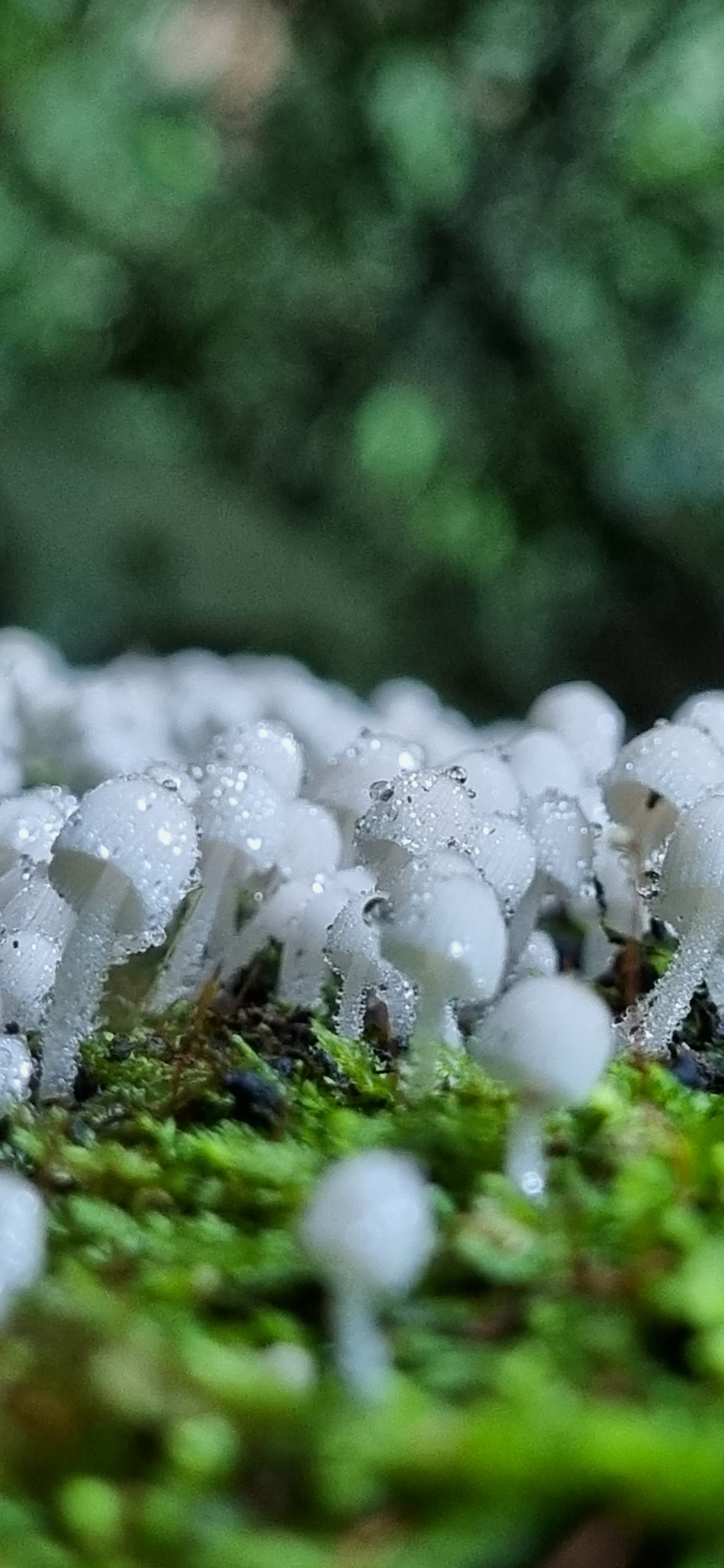 WhatsApp Image 2024-09-18 at 11.48.49.jpeg