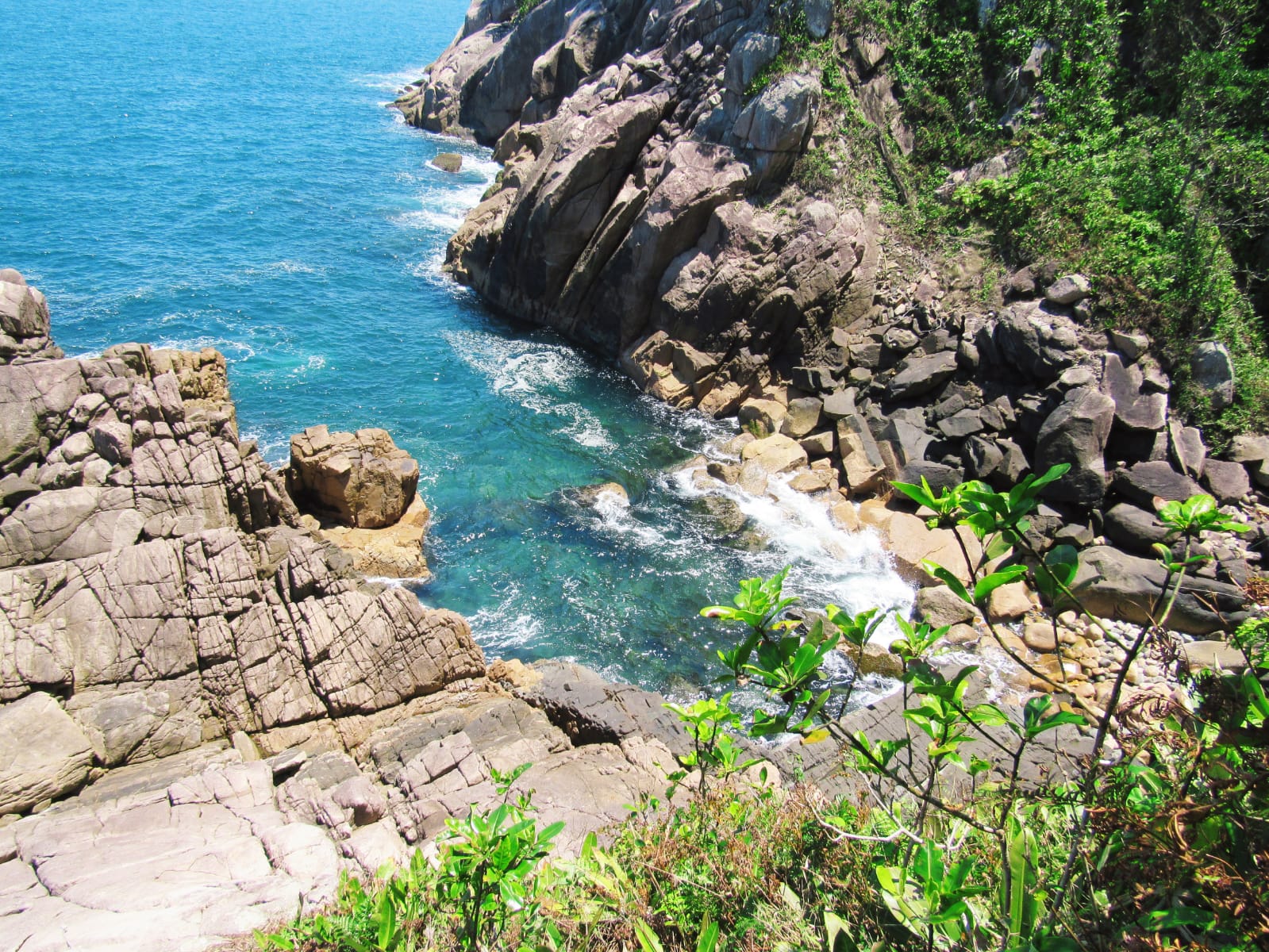 WhatsApp Image 2022-05-14 at 16.16.06.jpeg