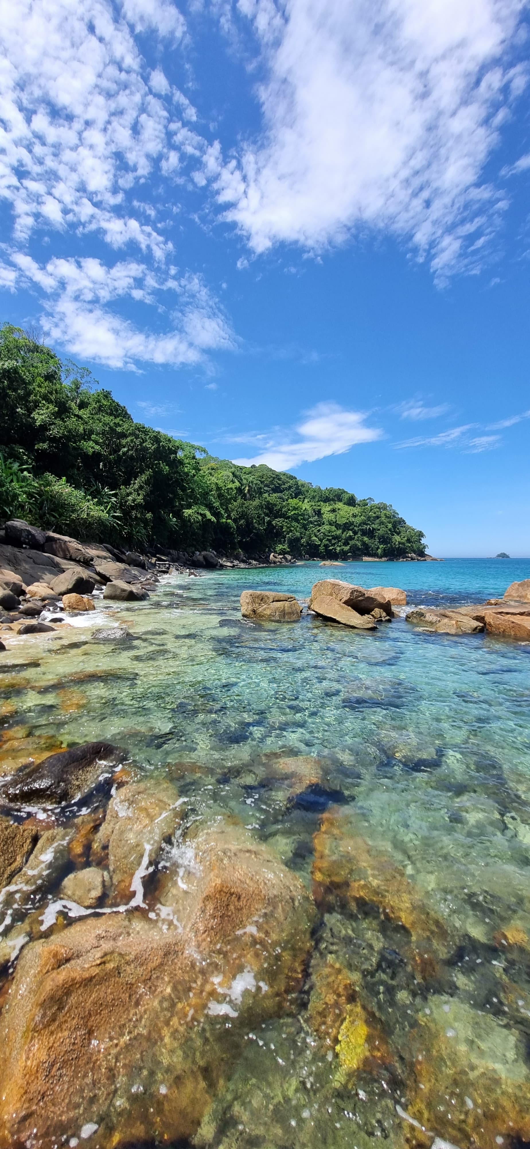 WhatsApp Image 2024-09-18 at 10.54.51.jpeg