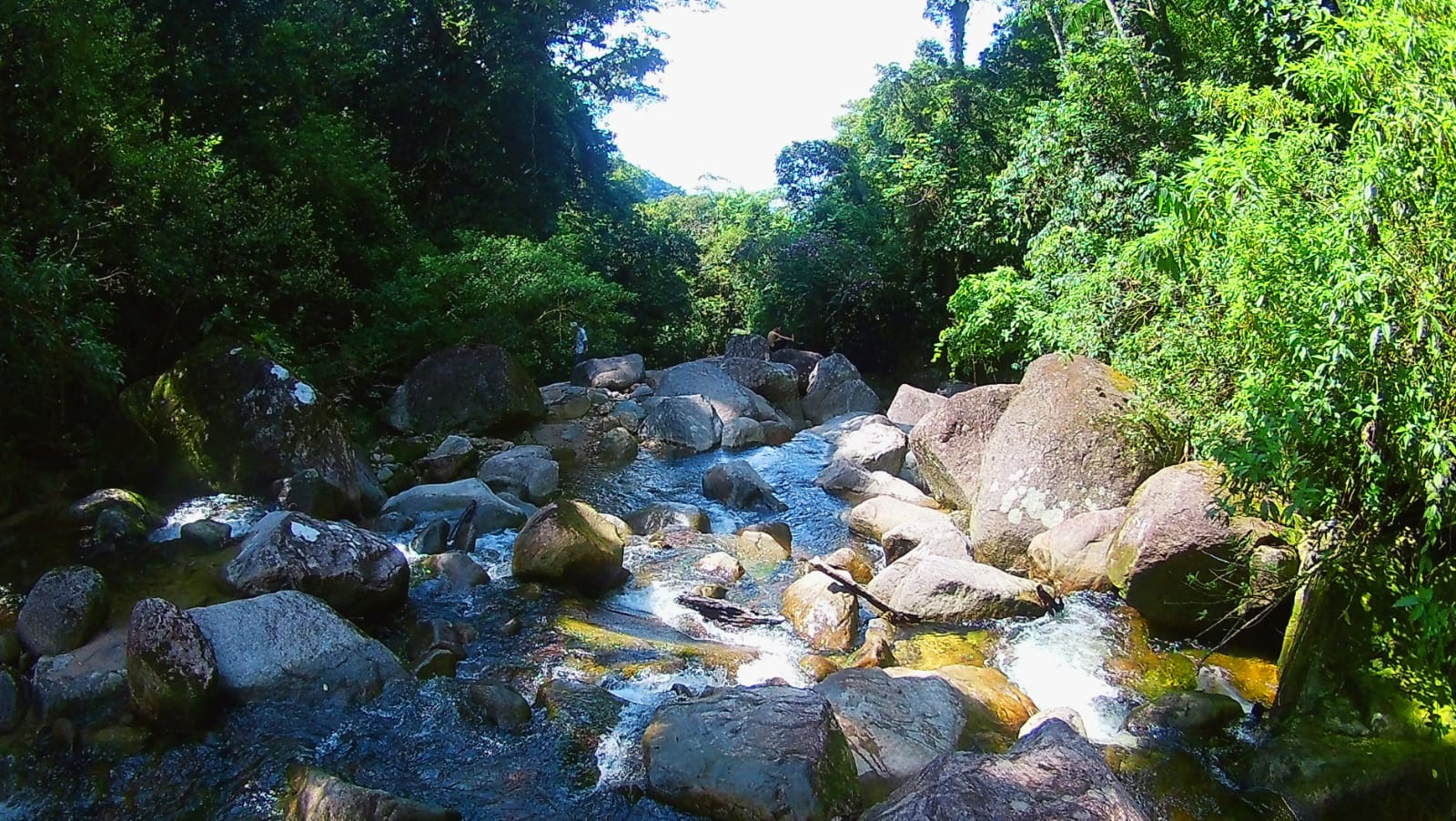 WhatsApp Image 2022-05-14 at 16.25.33.jpeg