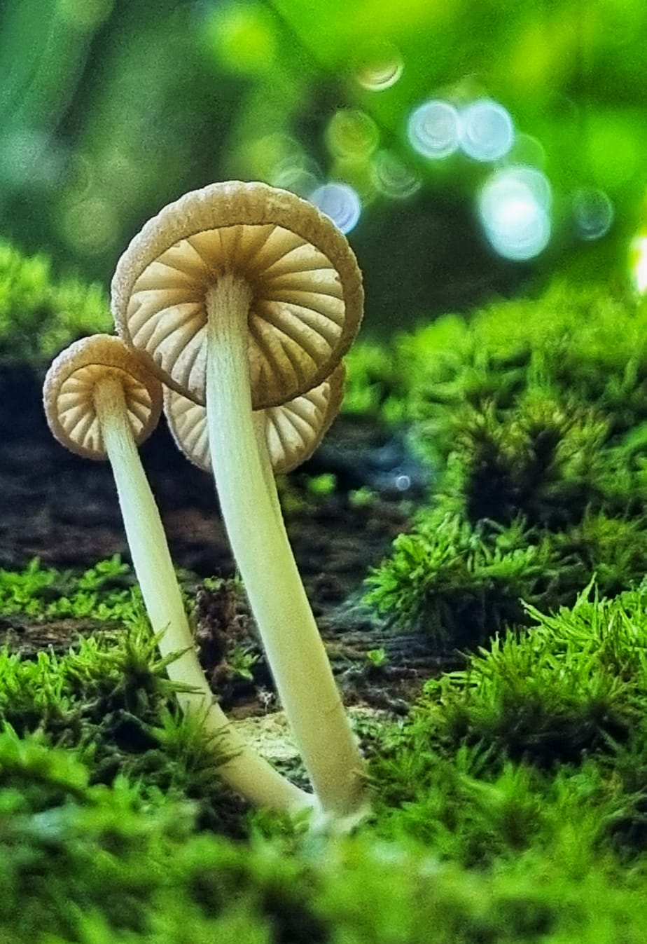 WhatsApp Image 2024-09-19 at 08.19.27.jpeg