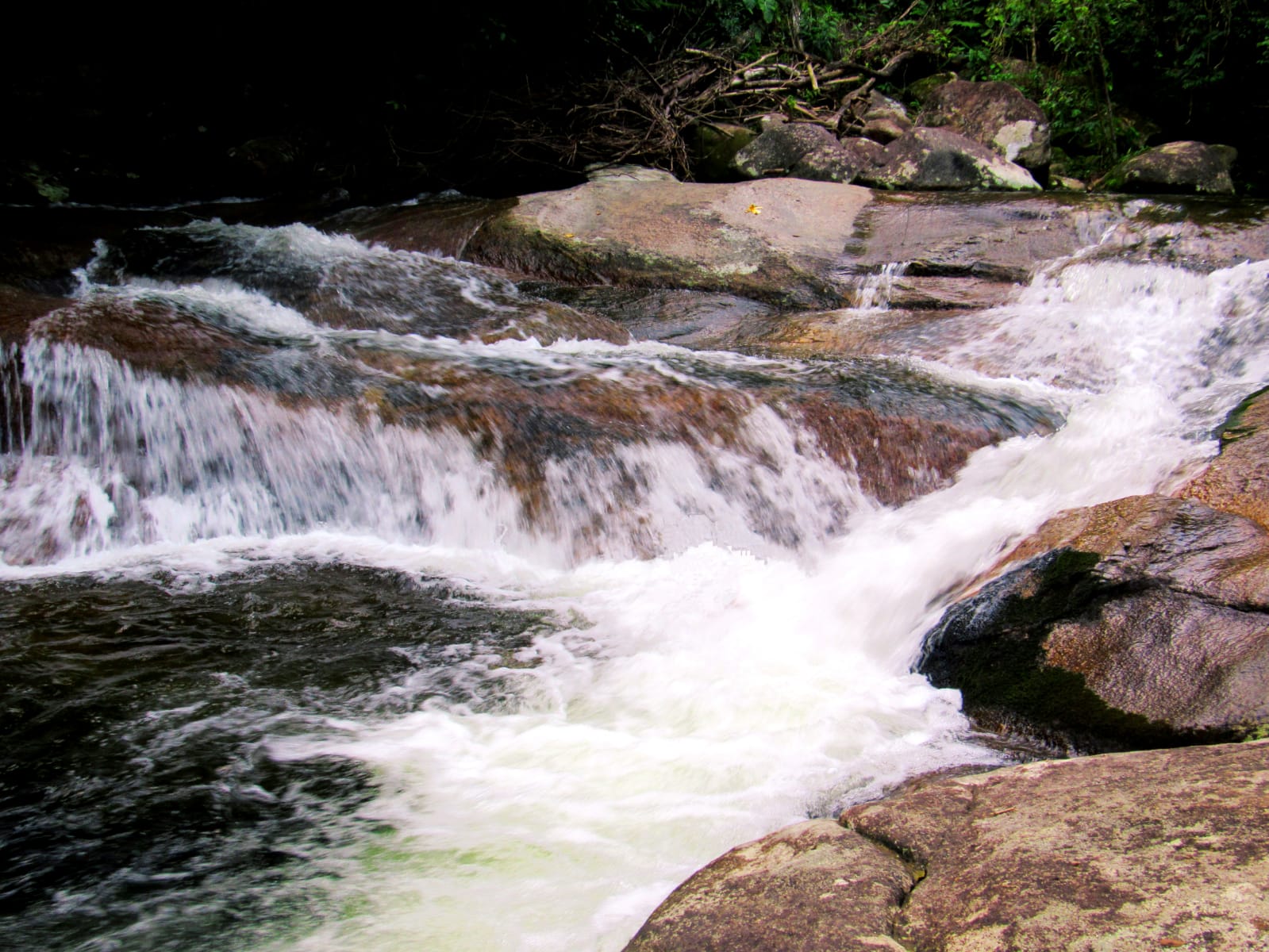 WhatsApp Image 2022-05-14 at 16.25.34.jpeg