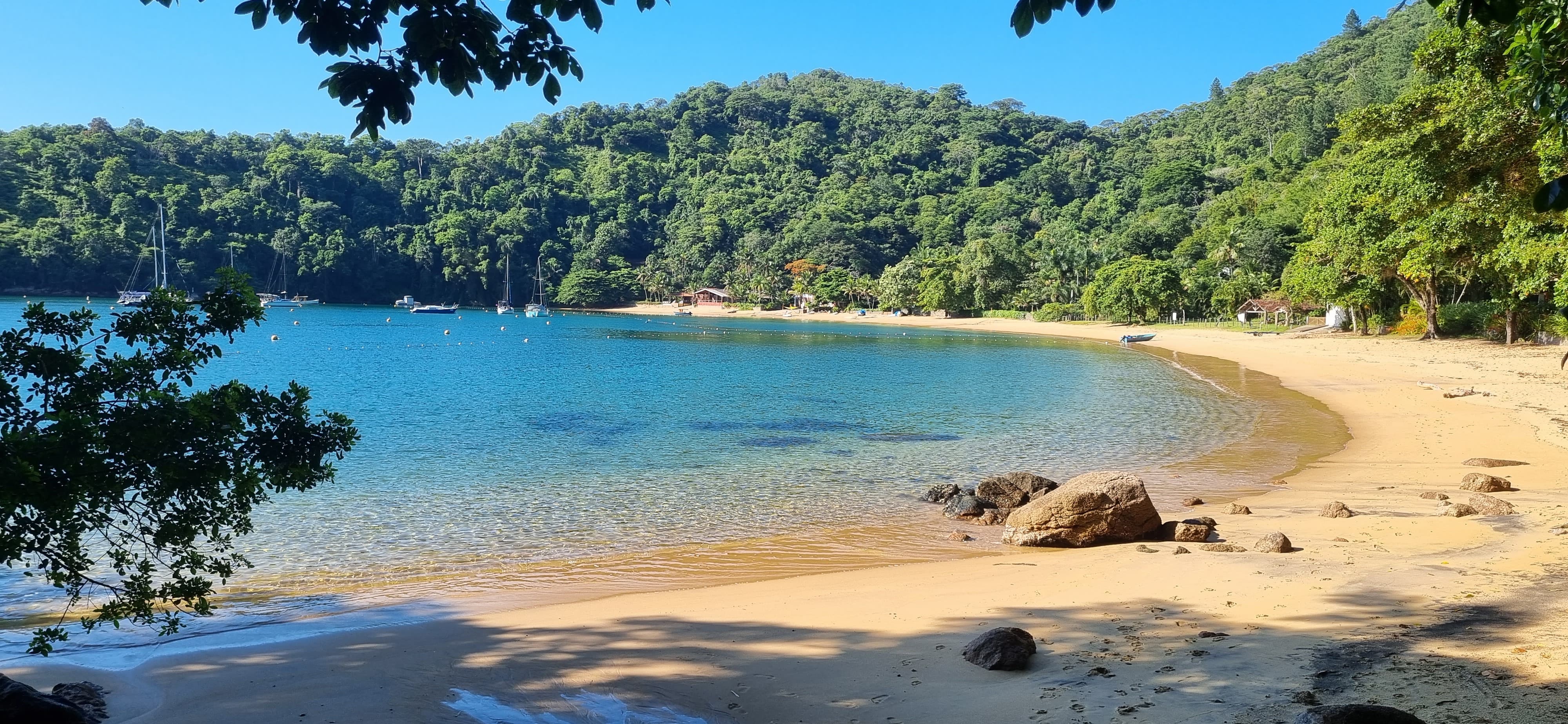 WhatsApp Image 2024-09-18 at 10.53.17.jpeg