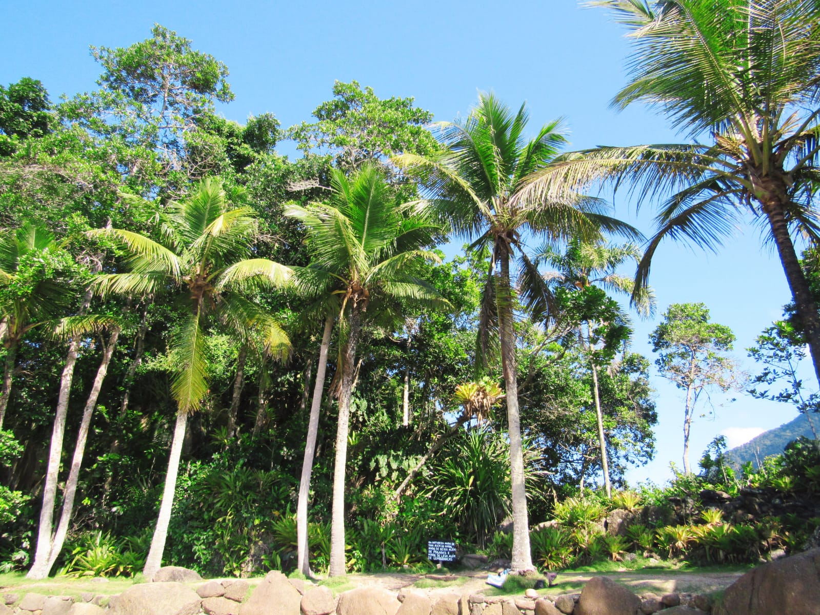 WhatsApp Image 2022-05-14 at 16.41.43.jpeg