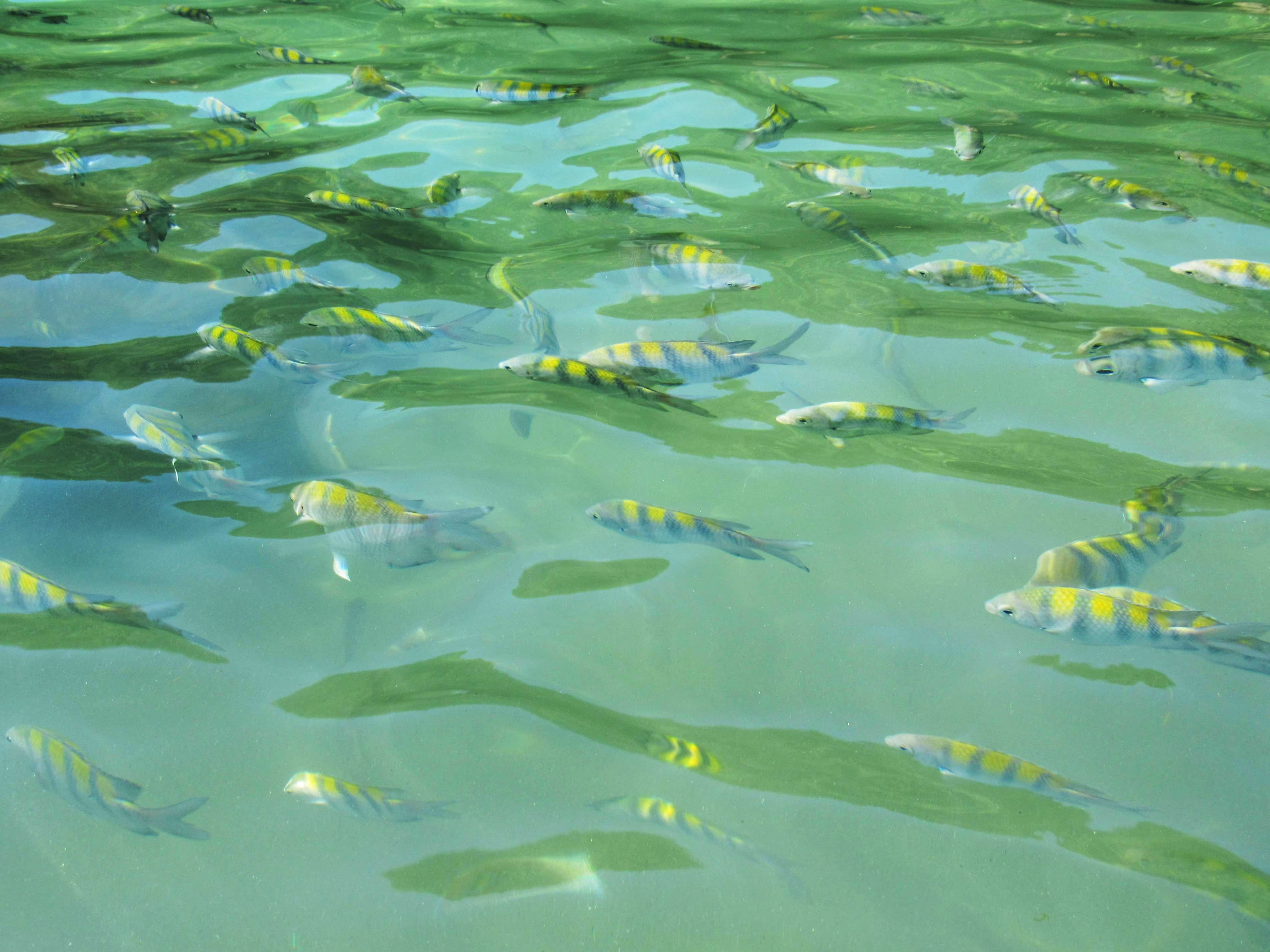 WhatsApp Image 2024-09-30 at 10.23.27.jpeg