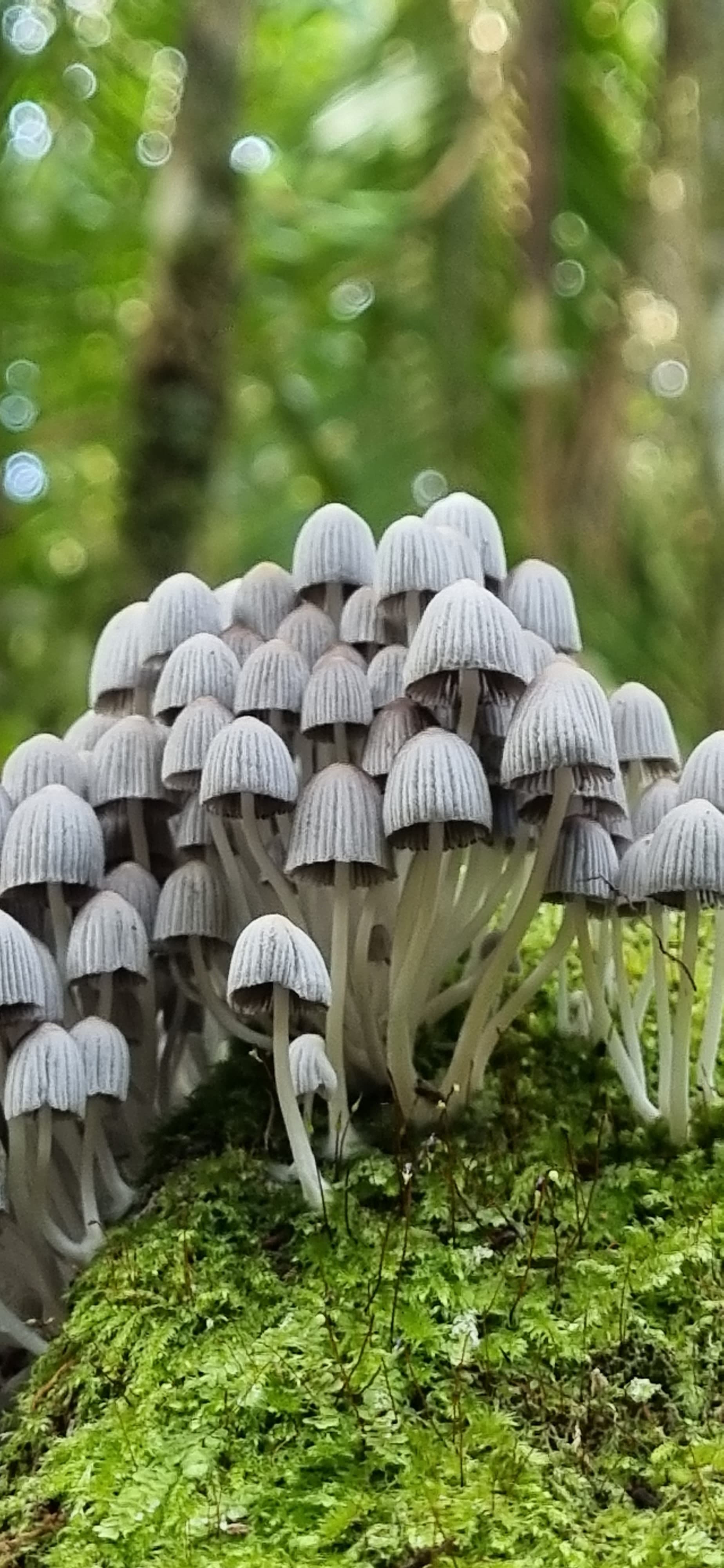 WhatsApp Image 2024-09-18 at 11.48.08.jpeg