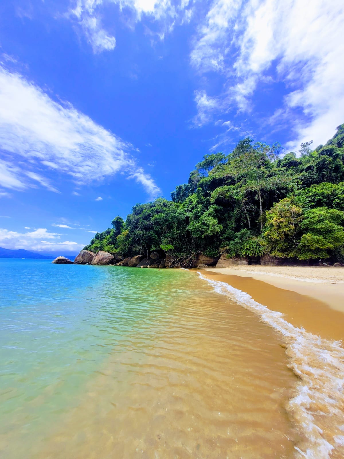 WhatsApp Image 2024-09-23 at 20.29.20.jpeg