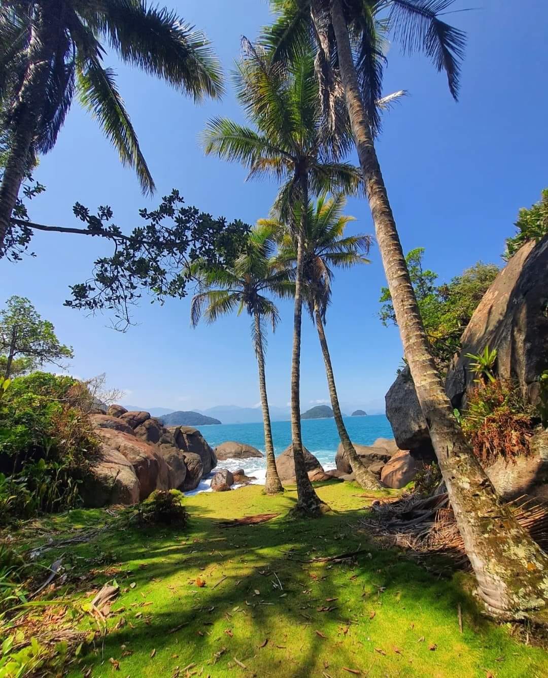 WhatsApp Image 2022-05-14 at 16.43.32.jpeg