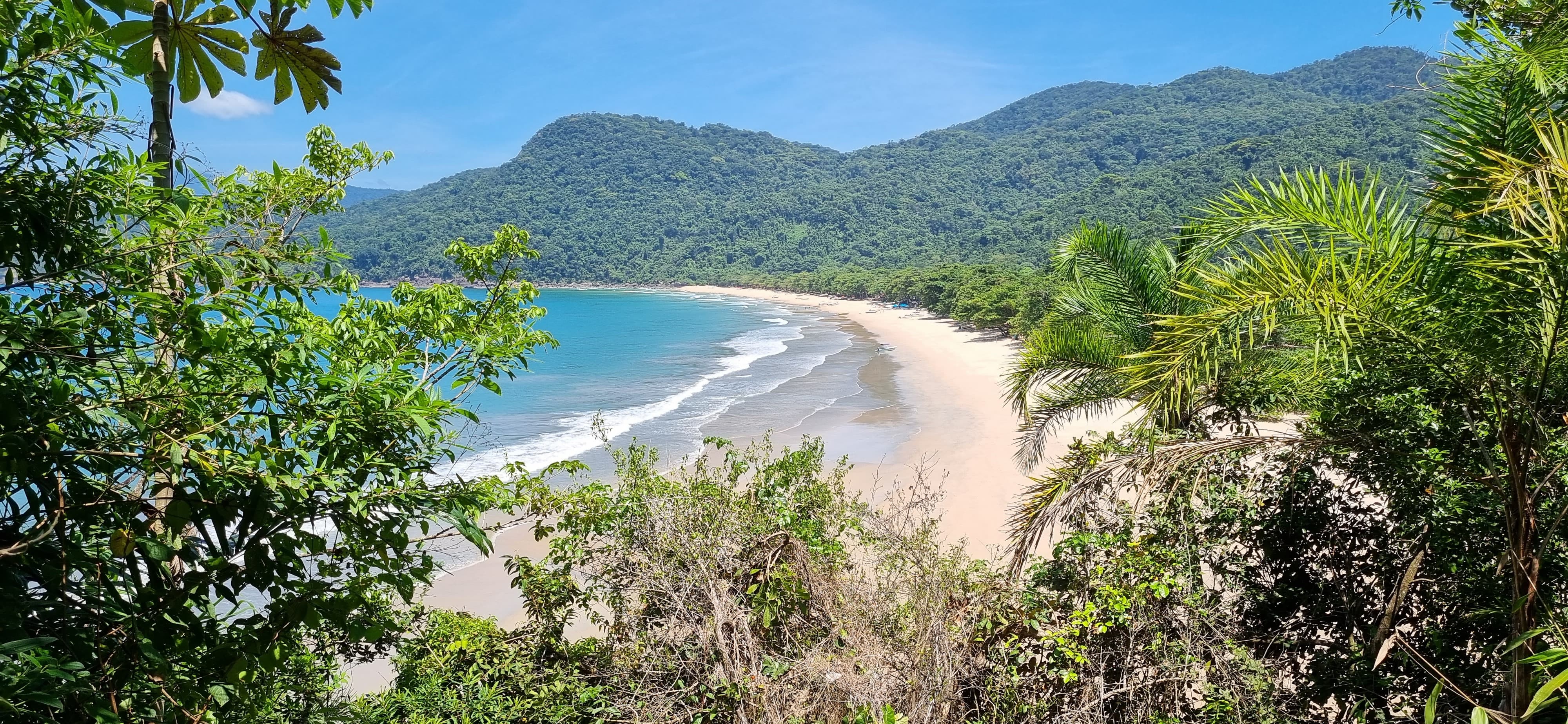 WhatsApp Image 2023-12-15 at 17.53.50.jpeg