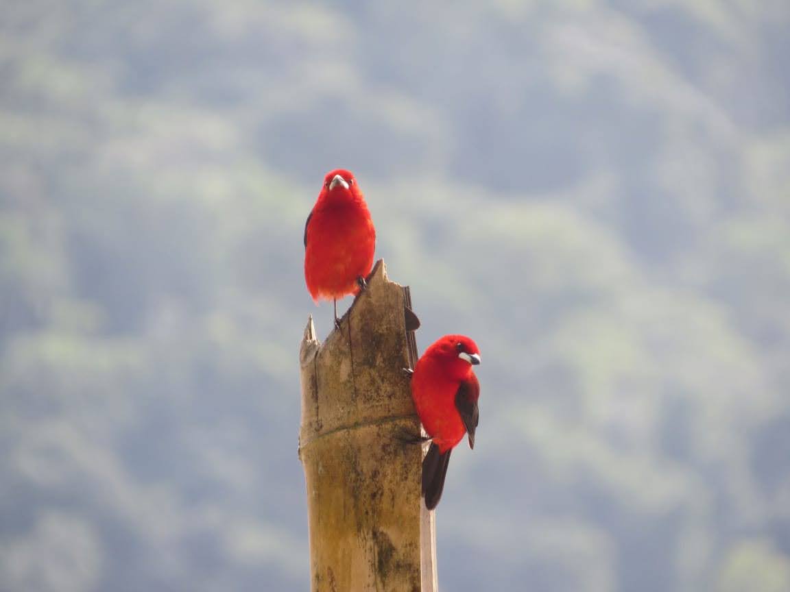 WhatsApp Image 2024-09-18 at 11.44.19.jpeg