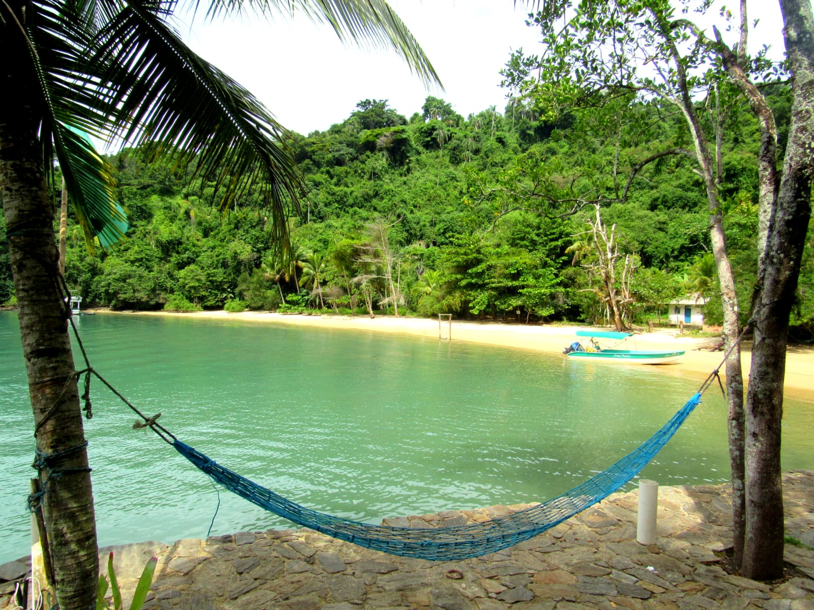 WhatsApp Image 2022-05-16 at 00.01.57.jpeg