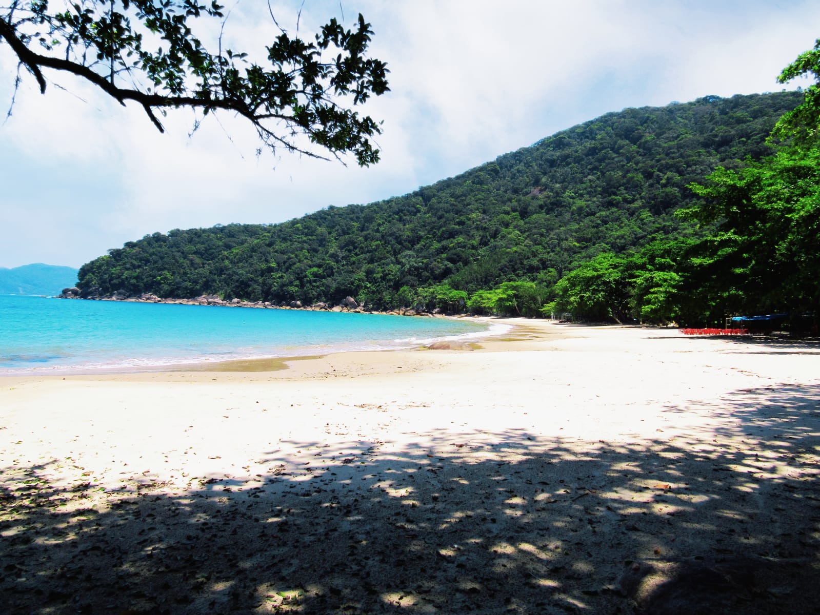 WhatsApp Image 2022-05-14 at 16.16.08 (1).jpeg