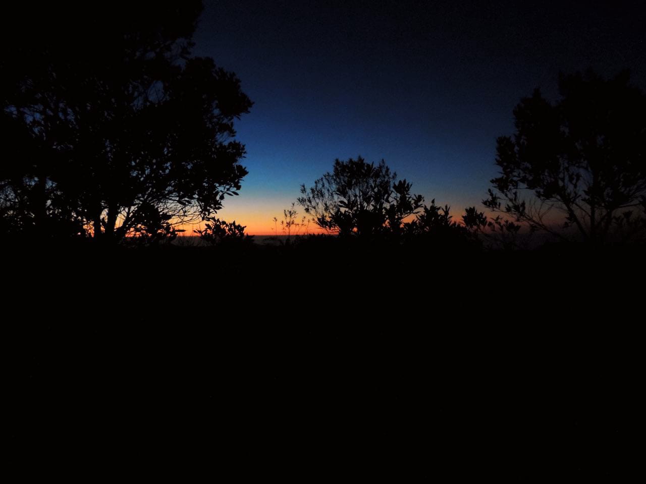 WhatsApp Image 2022-05-14 at 17.52.48 (1).jpeg