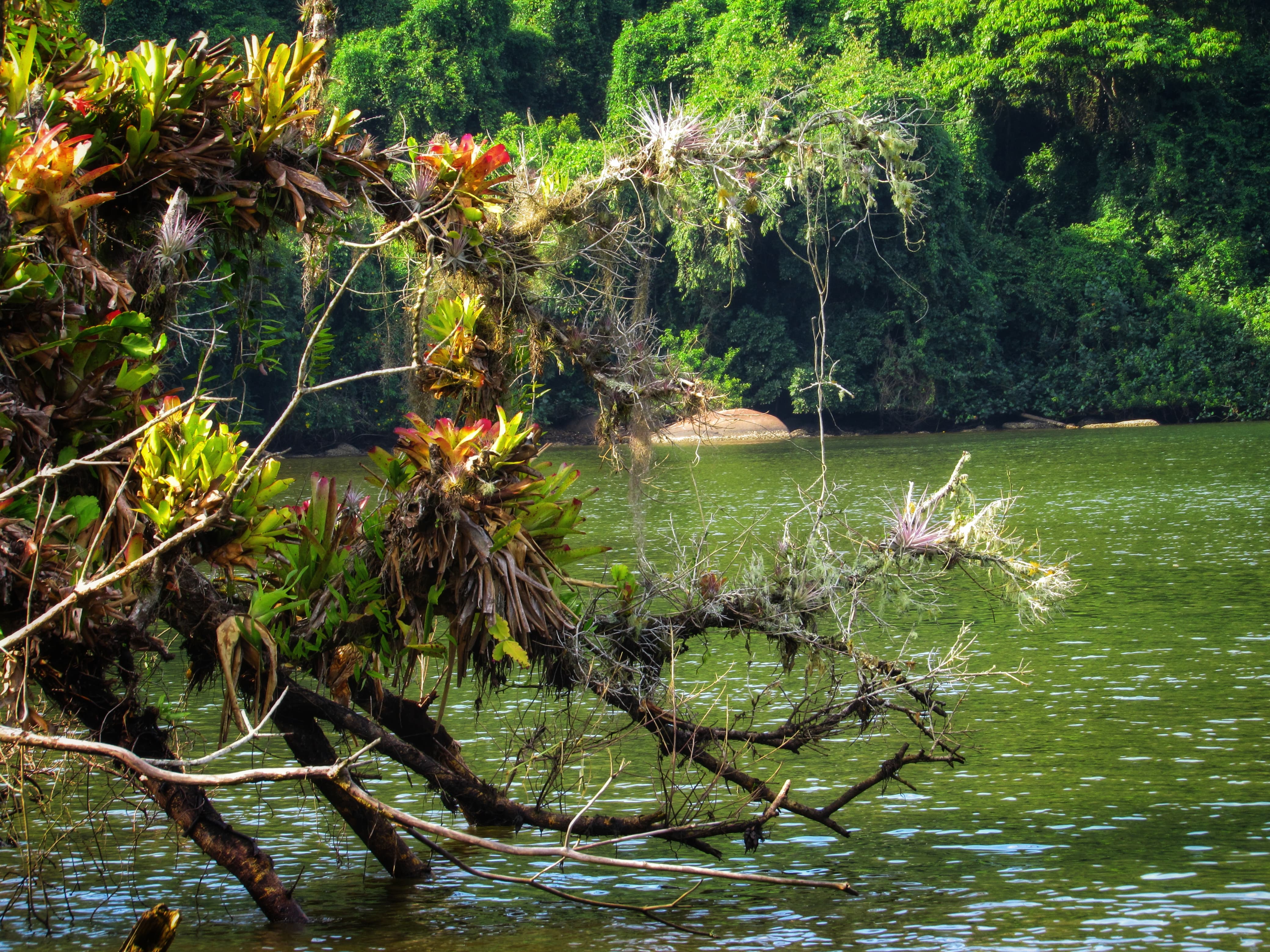 WhatsApp Image 2024-09-18 at 10.16.57.jpeg