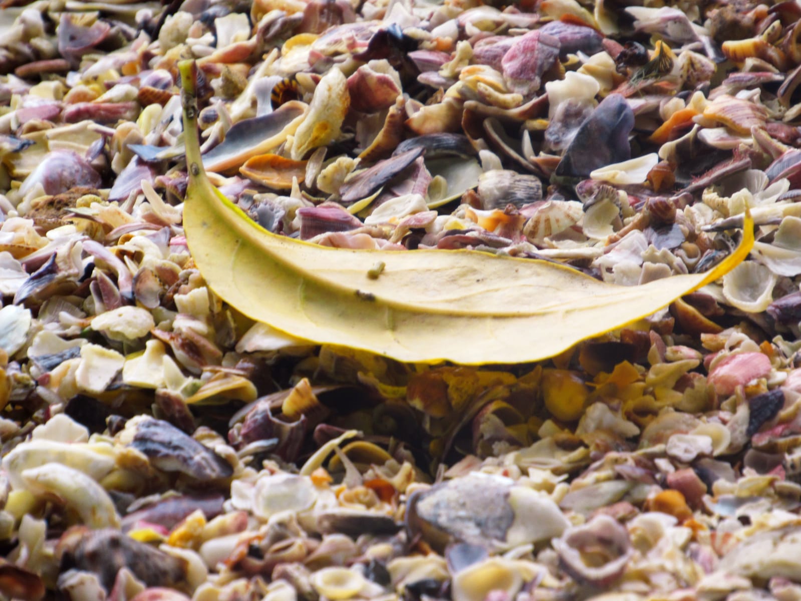 WhatsApp Image 2022-05-14 at 16.41.46 (1).jpeg