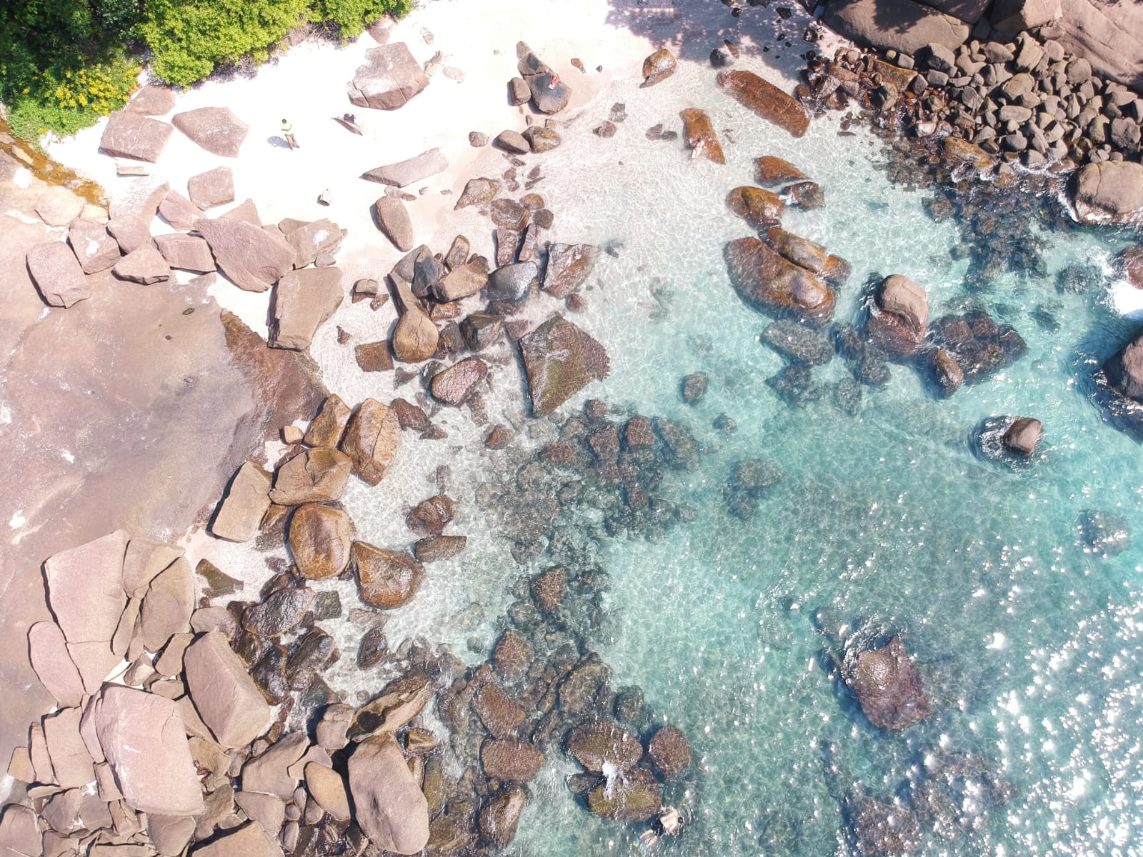 WhatsApp Image 2022-05-14 at 16.41.45 (1).jpeg