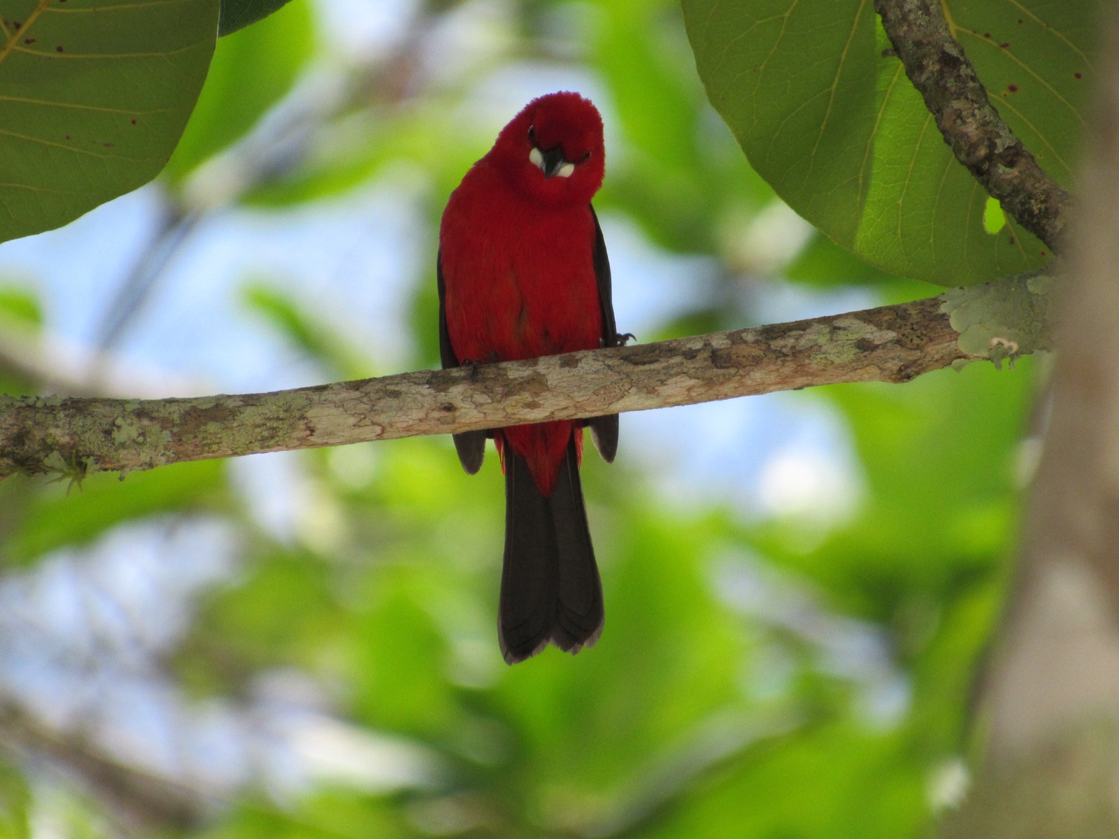 WhatsApp Image 2024-09-18 at 11.43.20.jpeg