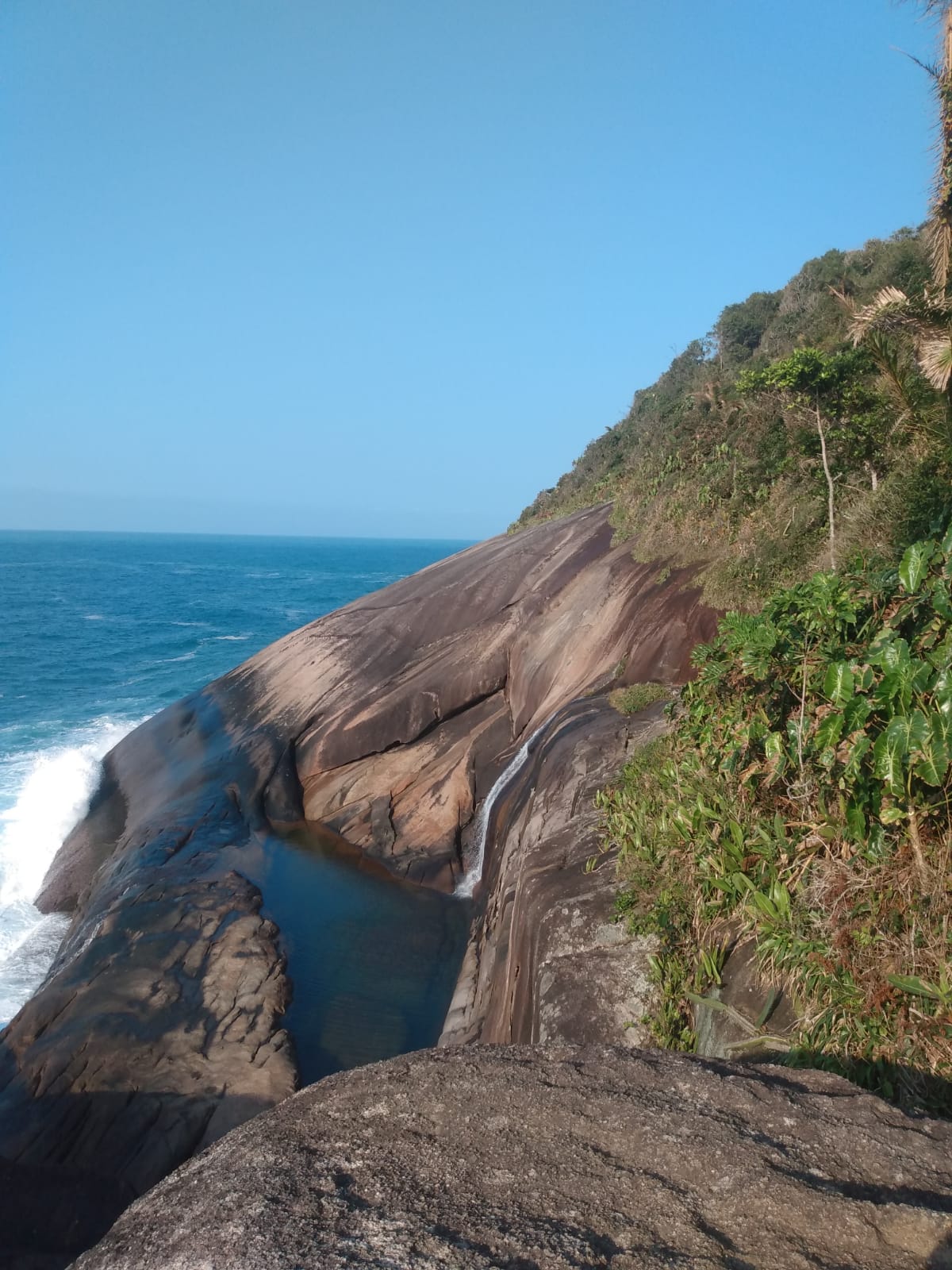 WhatsApp Image 2022-05-16 at 00.05.11.jpeg