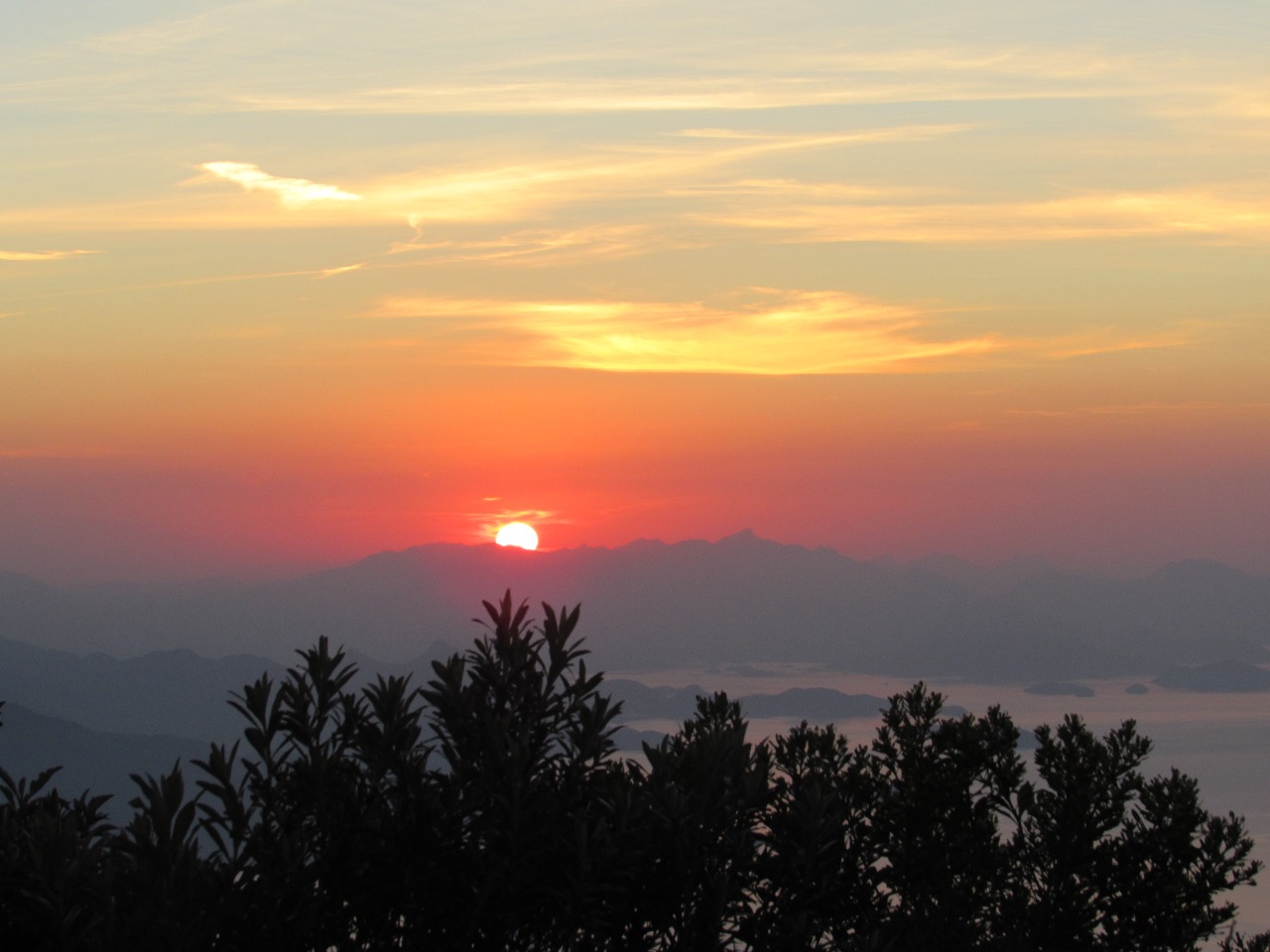 WhatsApp Image 2022-05-13 at 15.12.33 (1).jpeg